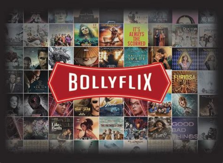 BollyFlix Pet: Your Ultimate Companion for Bollywood Movie Downloads