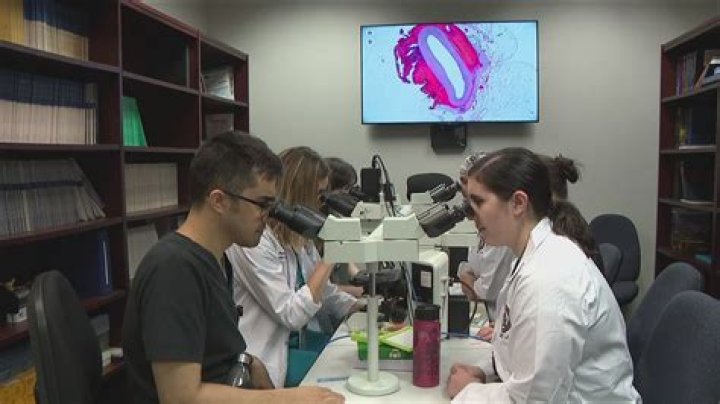 Dr. Oliver Williams: The Renowned Pathologist Redefining Modern Medicine