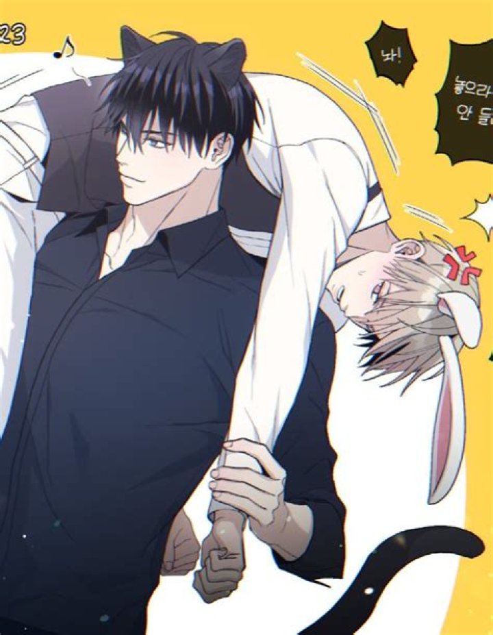 Manhwa Without Censor: A Comprehensive Guide to Uncensored Manhwa