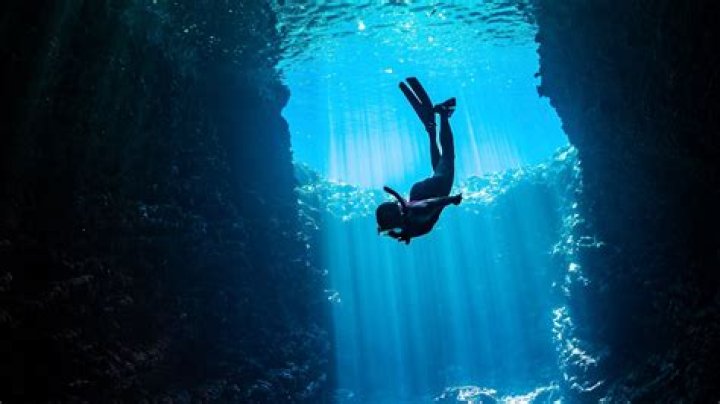 Michael Vaca and Brandi Williamson: A Deep Dive into Their Impactful Journey