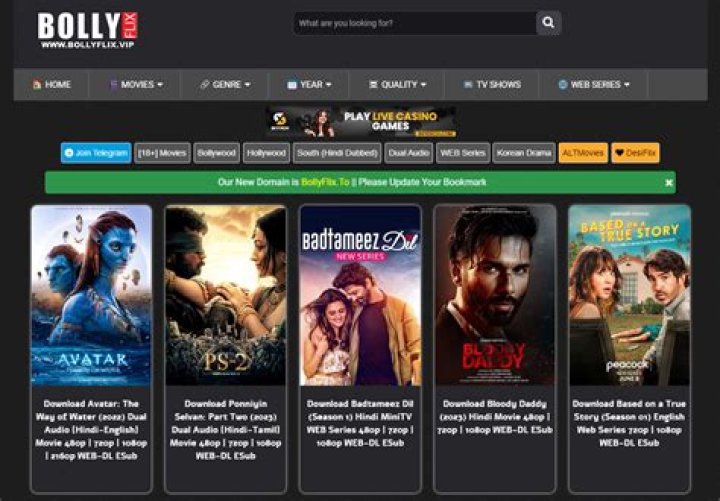 The Ultimate Guide to Bollyflix.in: Your Go-To Platform for Bollywood Entertainment