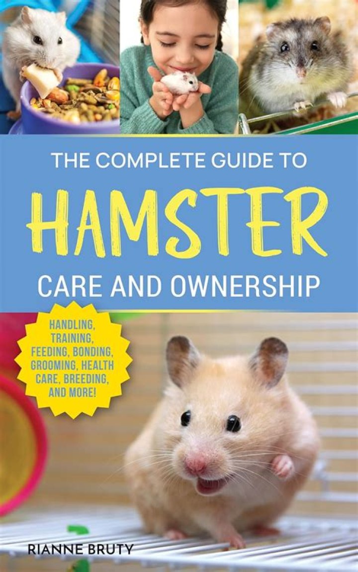 Unveiling the Ultimate Guide to Hamster X: Your Ultimate Companion
